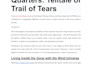 write longform SEO tour and travel posts with originality